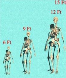 (отляво надясно) Човек, висок около 180 см (6 фута), Голиат, Gigantopithecusи Кралят Ог от Bashan