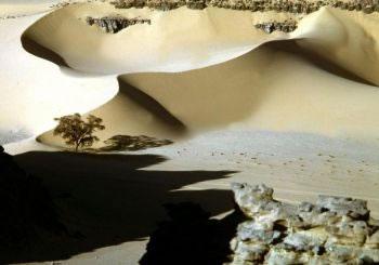 Пясъчни дюни в египетската пустиня