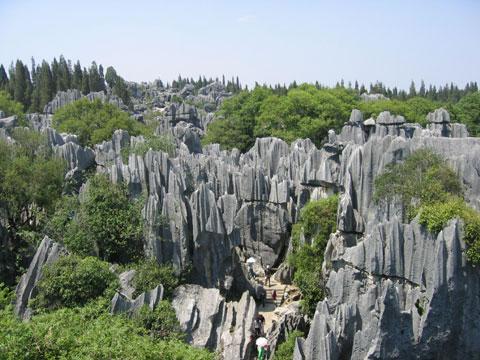 Каменната гора, Китай