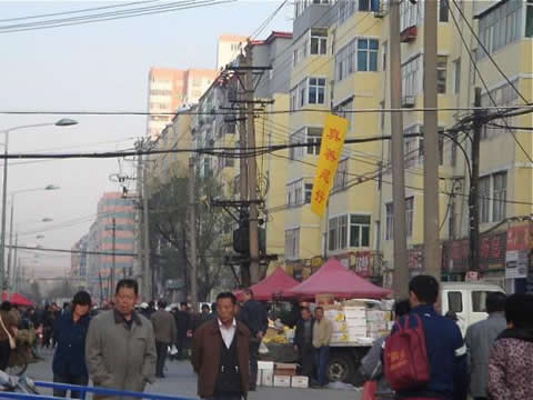 Банер гласящ: "Истина, Доброта, Търпимост са добри", поставен на оживена улица. 