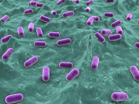 Учените са разработили разтвор, който може да убива бактерии, без да им позволява да развият устойчивост към него.