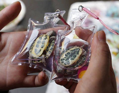 В Китай запечатват живи същества в найлонови опаковки и ги продават като сувенири