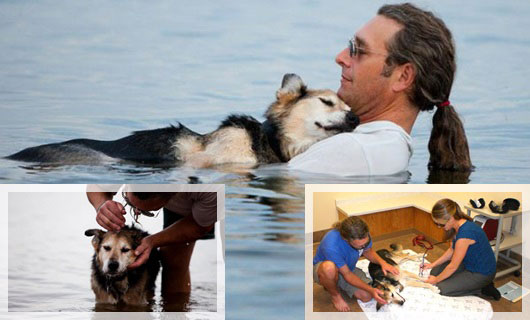 Мъж всеки ден води болното си куче в езеро, за да поспи