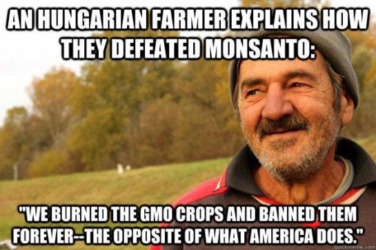 Унгария подпали ГМО 