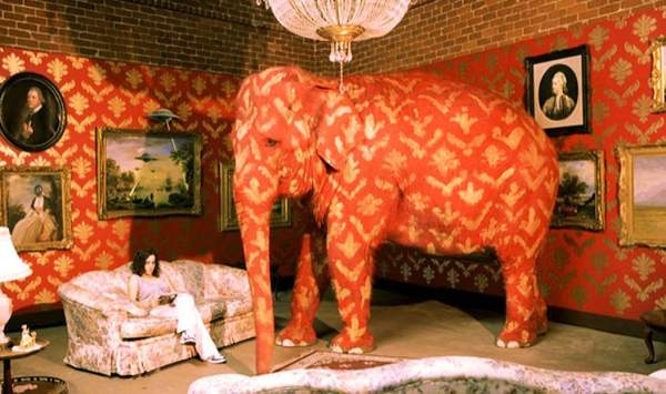 слон в стаята