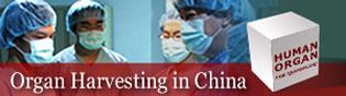 Мерките срещу трафика на органи в Китай увеличават насилственото отнемане на органи