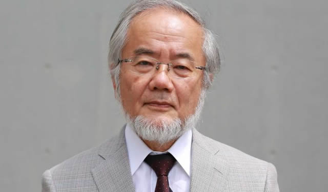 Йошинори Осуми